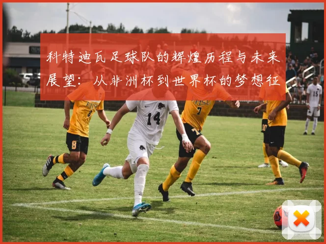 科特迪瓦足球队的辉煌历程与未来展望：从非洲杯到世界杯的梦想征程