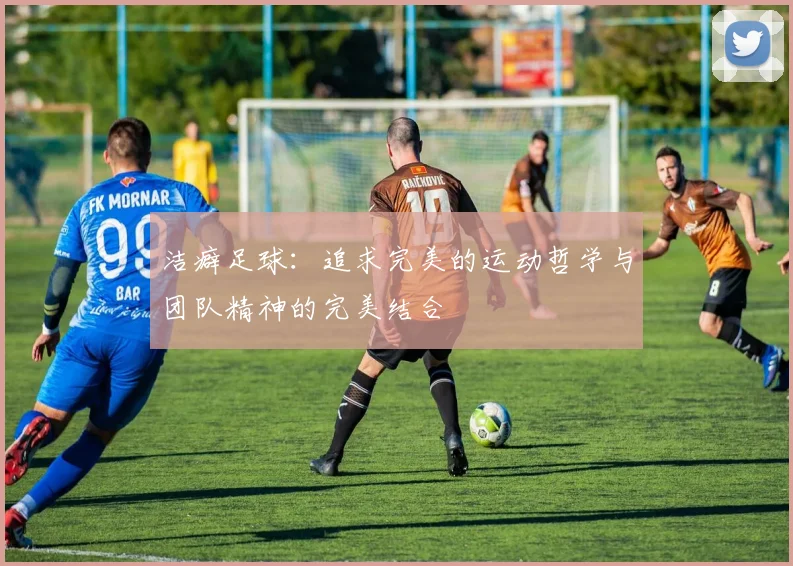 洁癖足球：追求完美的运动哲学与团队精神的完美结合