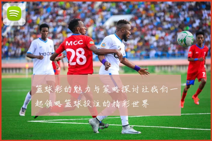 篮球彩的魅力与策略探讨让我们一起领略篮球投注的精彩世界